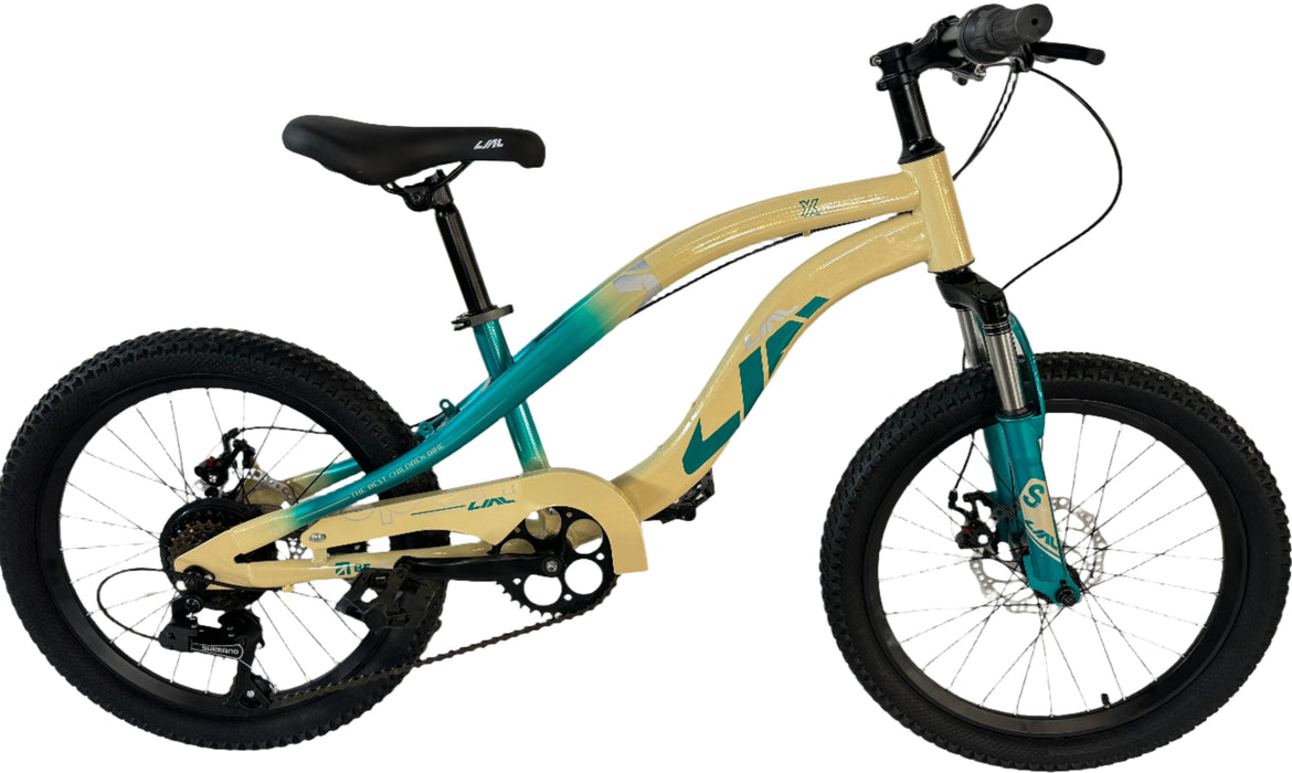 LIAL 20" Bike - Yellow and Green - (KB)